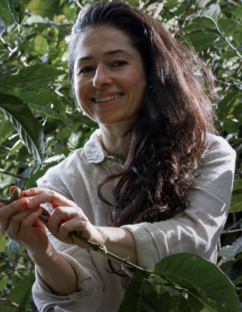 {{brizy_dc_image_alt imageSrc=